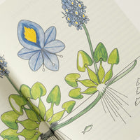 ATLAS DE BOTANIQUE POÉTIQUE - FRANCIS HALLÉ - 2016