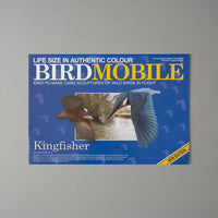 MOBILE OISEAU - MARTIN PECHEUR
