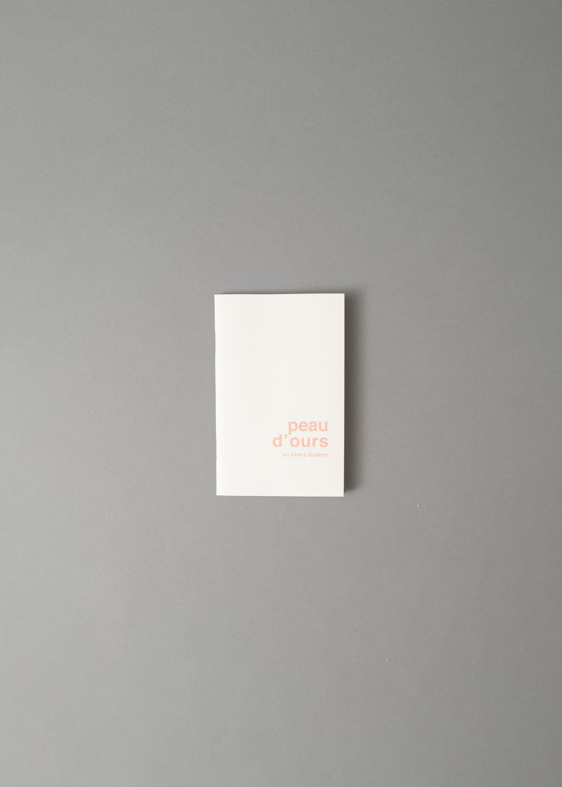 PEAU D'OURS - LIVRE A ILLUSTRER - SUPEREDITIONS