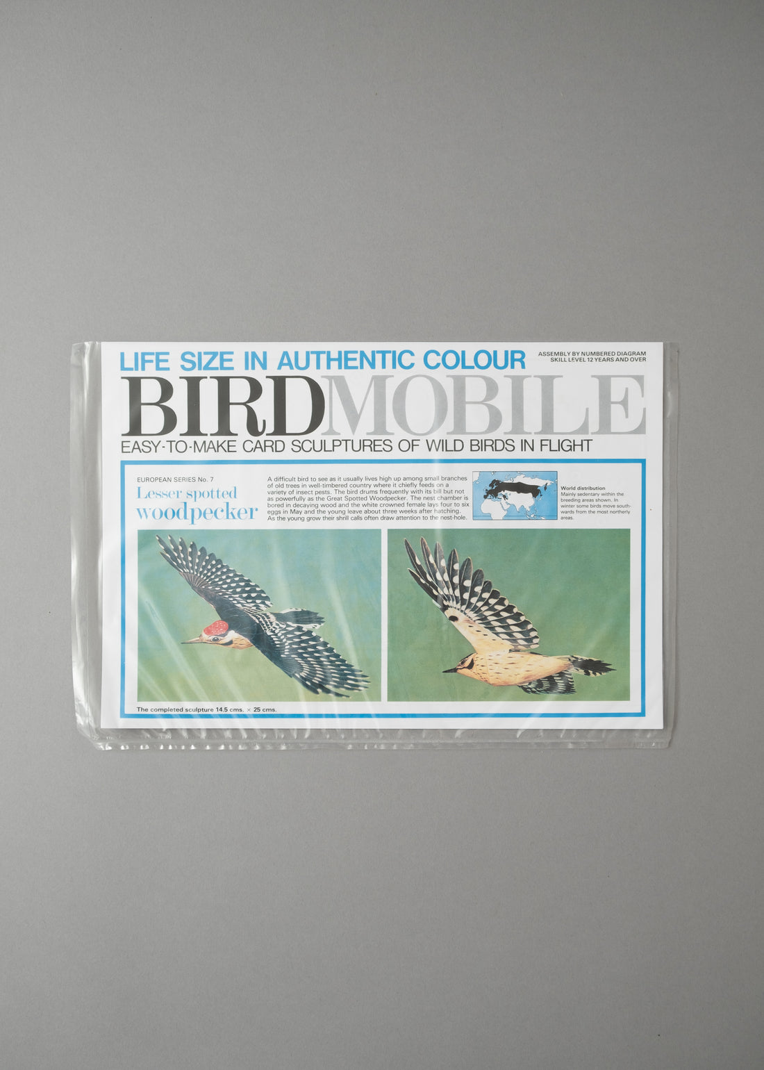 MOBILE OISEAU - PIC EPEICHE