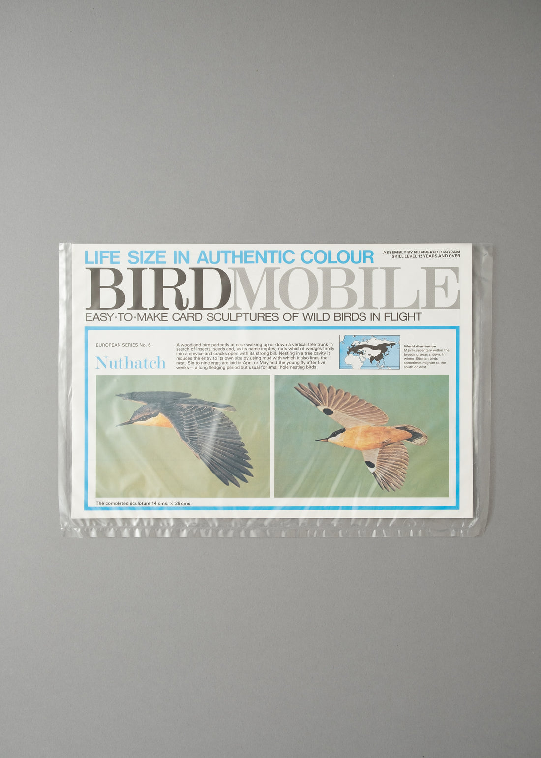 MOBILE OISEAU - SITTELLE