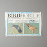 MOBILE OISEAU - SITTELLE