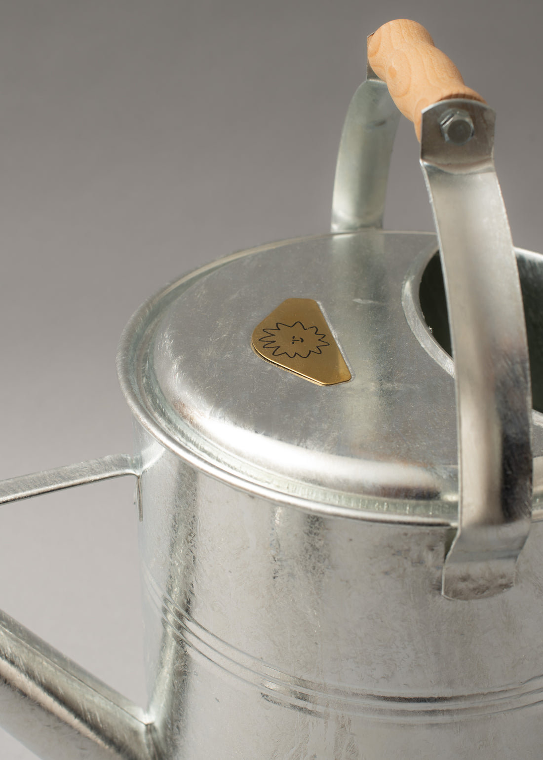 ARROSOIR - 9L - GALVA - KOVOTVAR