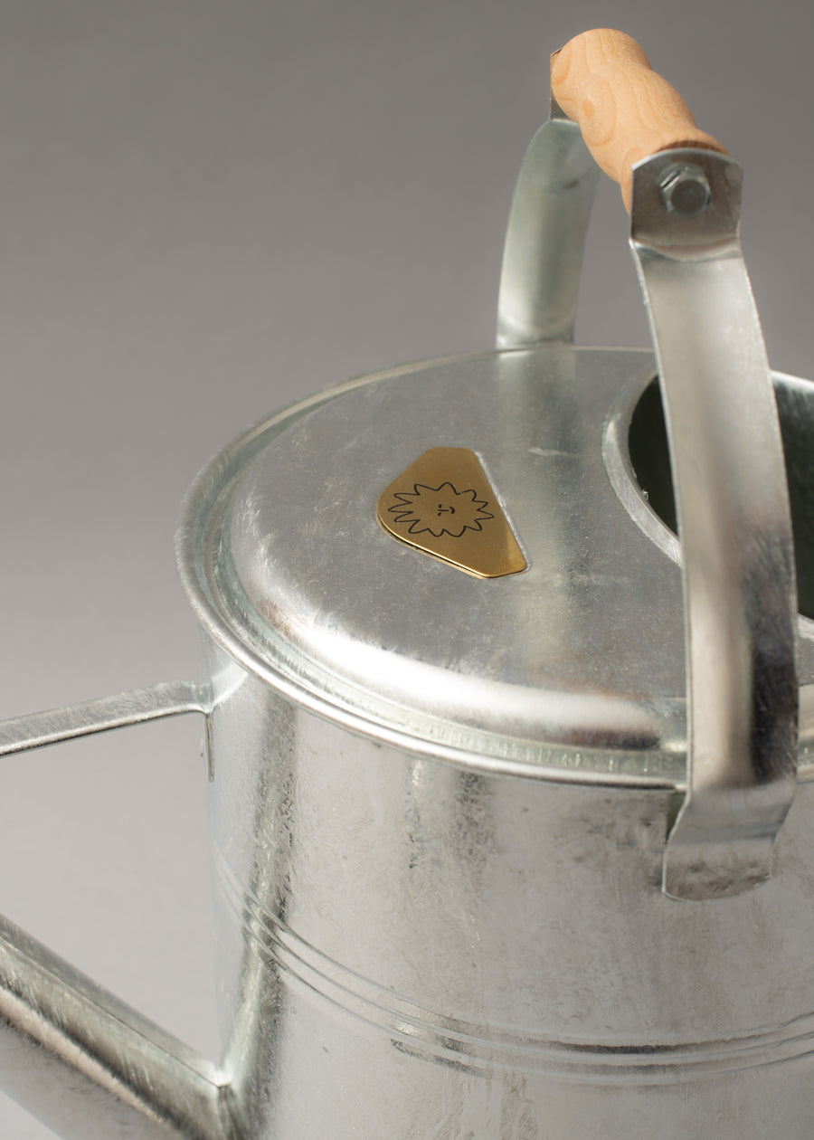 ARROSOIR - 9L - GALVA - KOVOTVAR