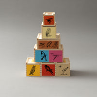 COFFRET DUO - LES ADORABLES - MOINEAU & ROSSIGNOL - QBC