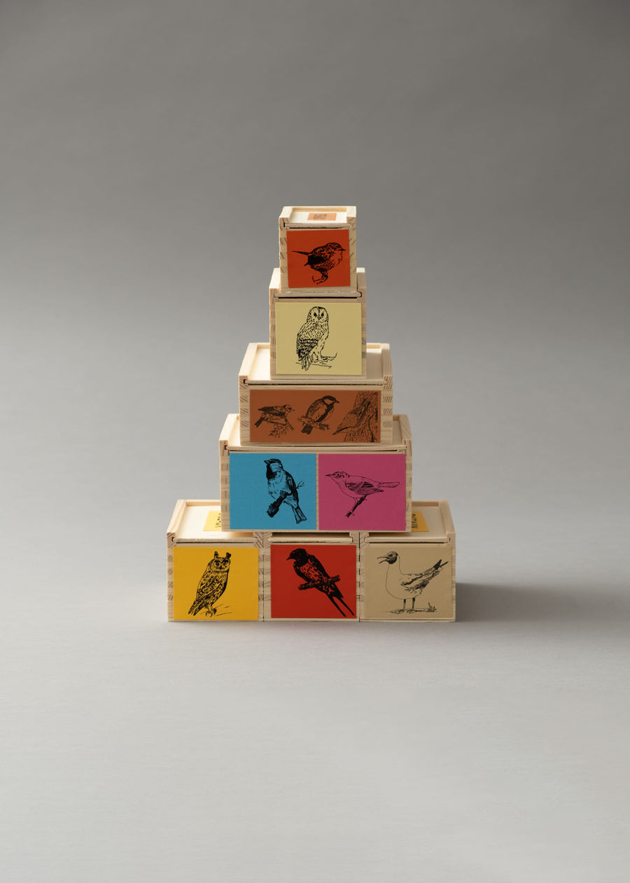 COFFRET DUO - LES ADORABLES - MOINEAU & ROSSIGNOL - QBC