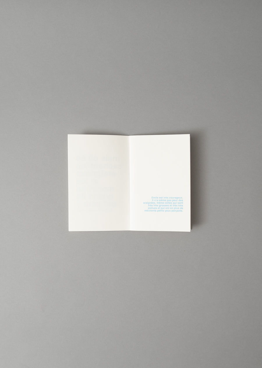 MAIS OU SE CACHENT LES ARAIGNEES ET LES MONSTRES QUAND ILS ONT PEUR ? - LIVRE A ILLUSTRER - SUPEREDITIONS