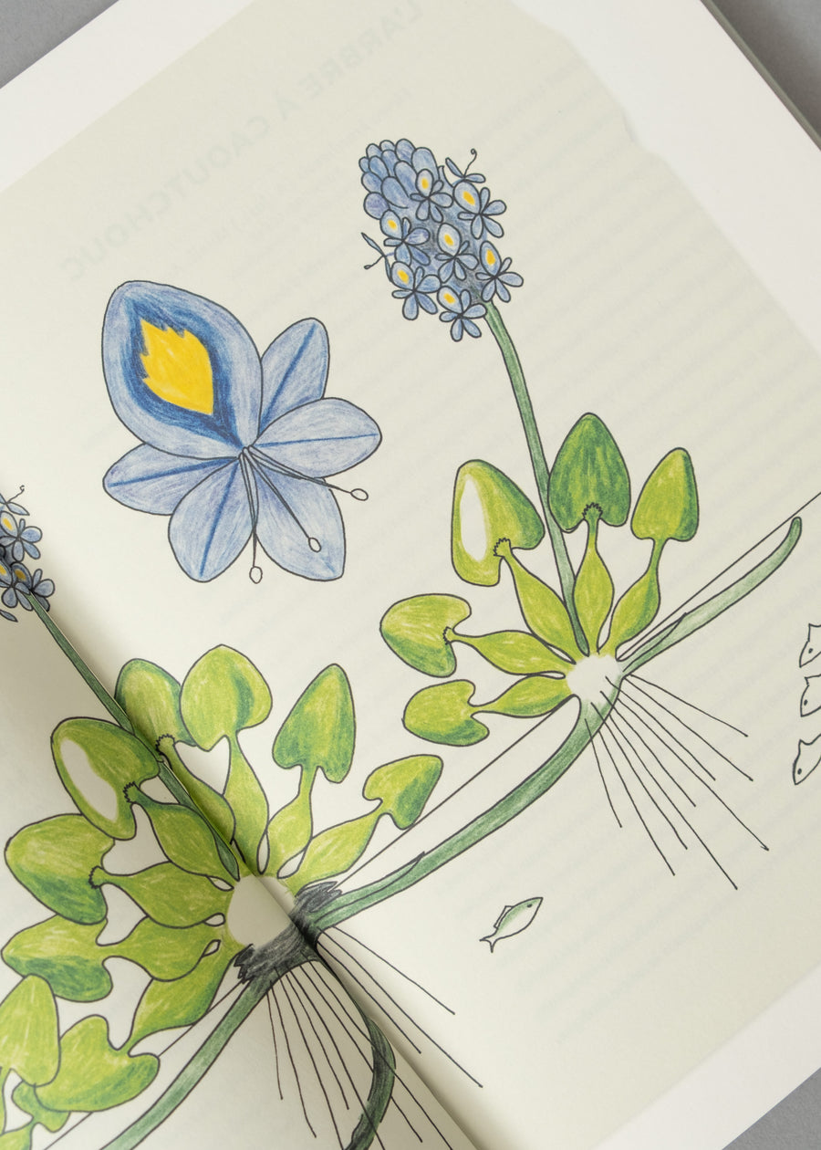 ATLAS DE BOTANIQUE POÉTIQUE - FRANCIS HALLÉ - 2016