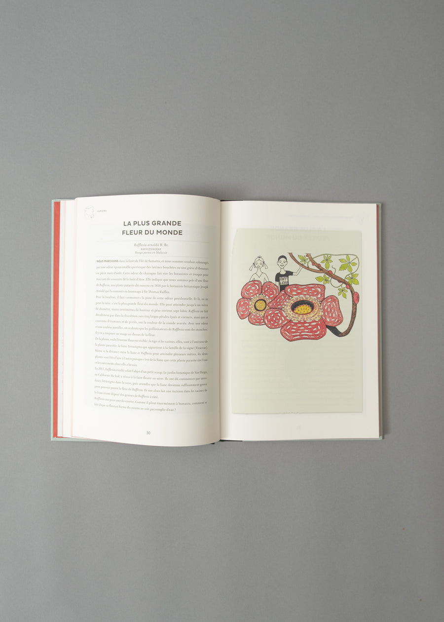 ATLAS DE BOTANIQUE POÉTIQUE - FRANCIS HALLÉ - 2016