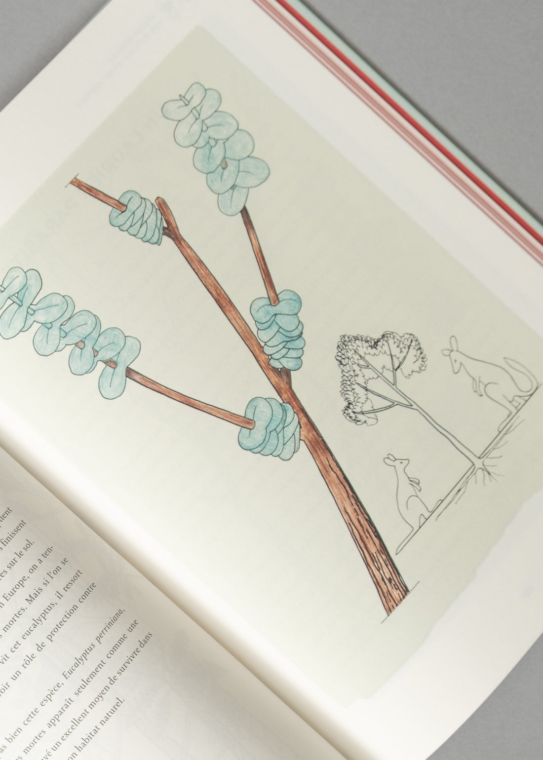 ATLAS DE BOTANIQUE POÉTIQUE - FRANCIS HALLÉ - 2016