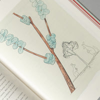 ATLAS DE BOTANIQUE POÉTIQUE - FRANCIS HALLÉ - 2016