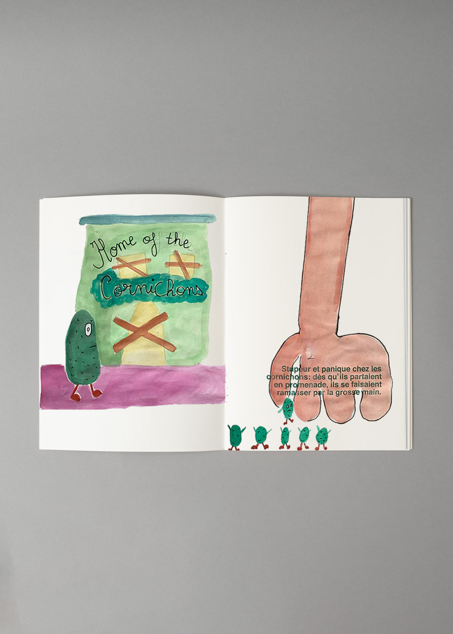 LA MALEDICTION DU CORNICHON - GRAND FORMAT - LIVRE A ILLUSTRER - SUPEREDITIONS