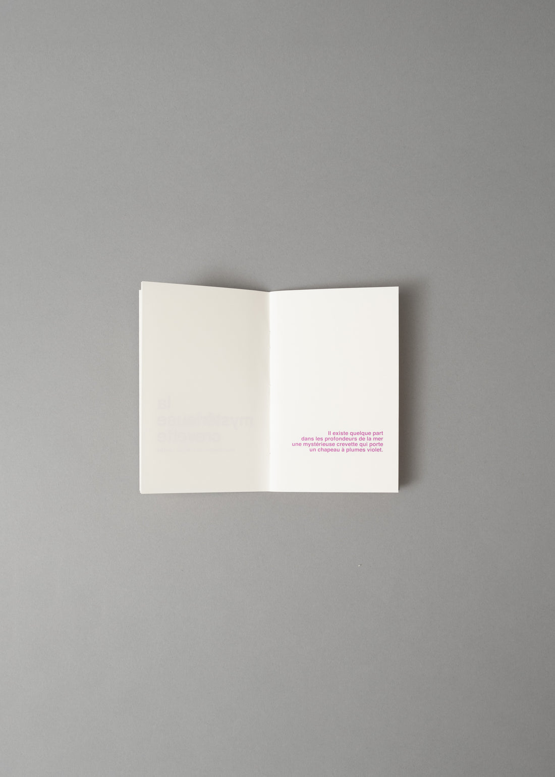 LA MYSTERIEUSE CREVETTE - LIVRE A ILLUSTRER - SUPEREDITIONS