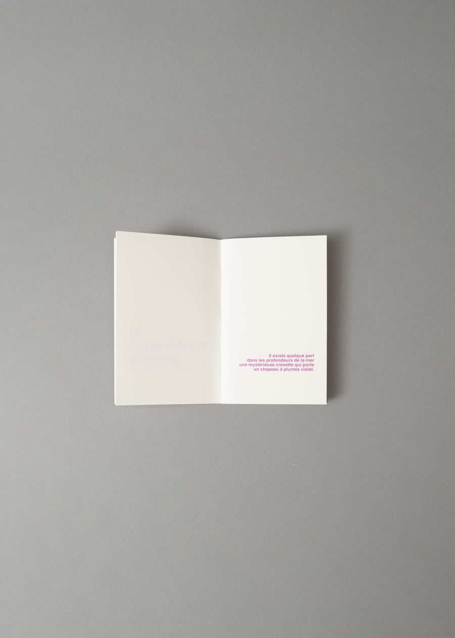 LA MYSTERIEUSE CREVETTE - LIVRE A ILLUSTRER - SUPEREDITIONS