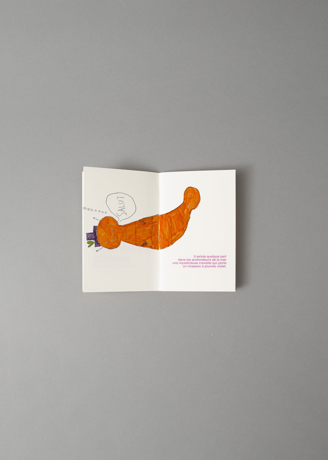 LA MYSTERIEUSE CREVETTE - LIVRE A ILLUSTRER - SUPEREDITIONS