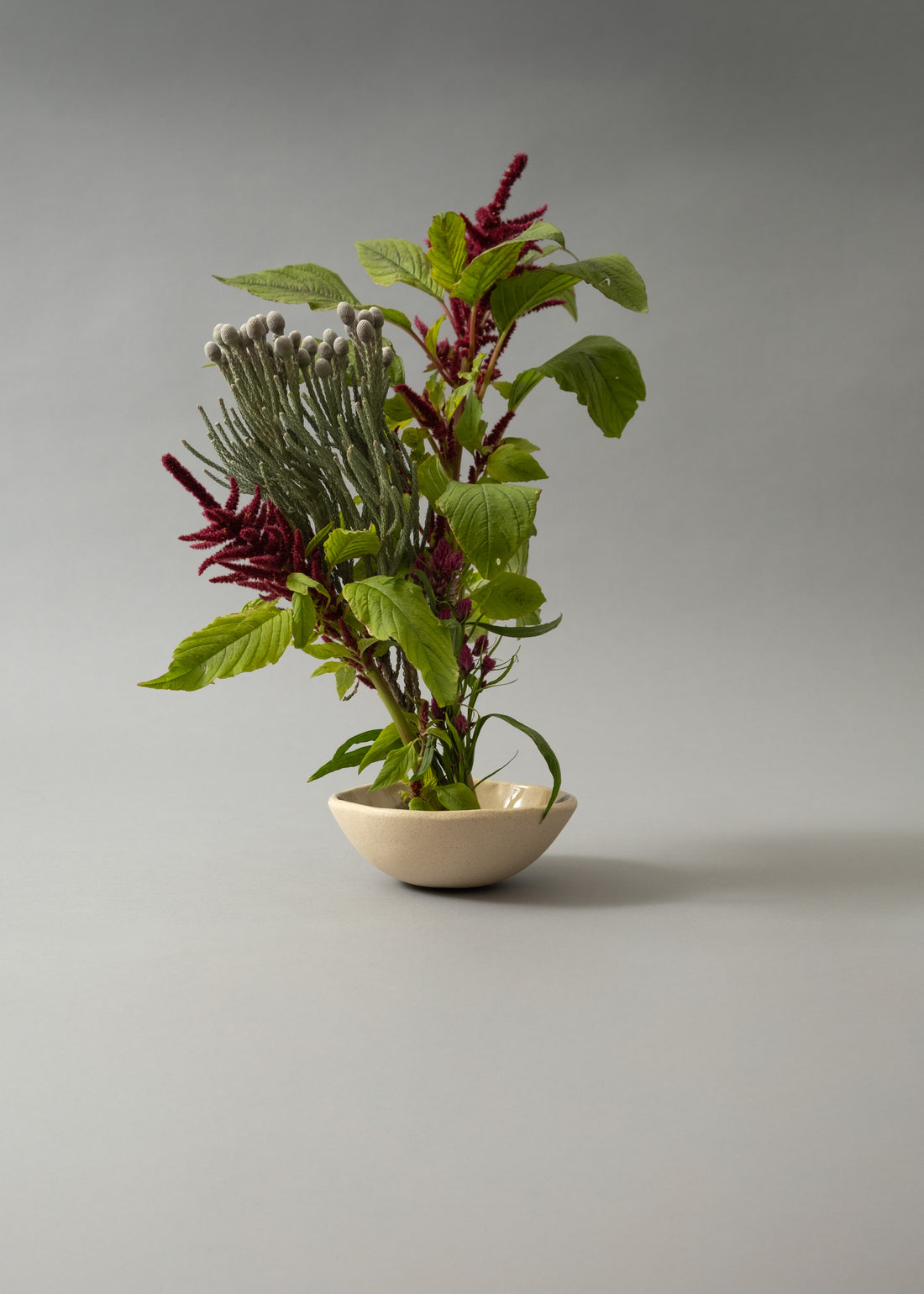 PIQUE-FLEURS  - KENZAN - LARGE - NIWAKI