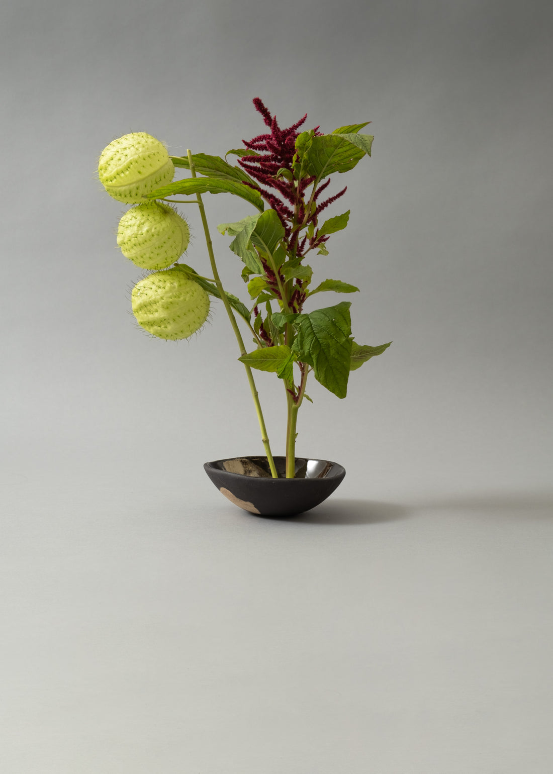 PIQUE-FLEURS  - KENZAN - MEDIUM - NIWAKI