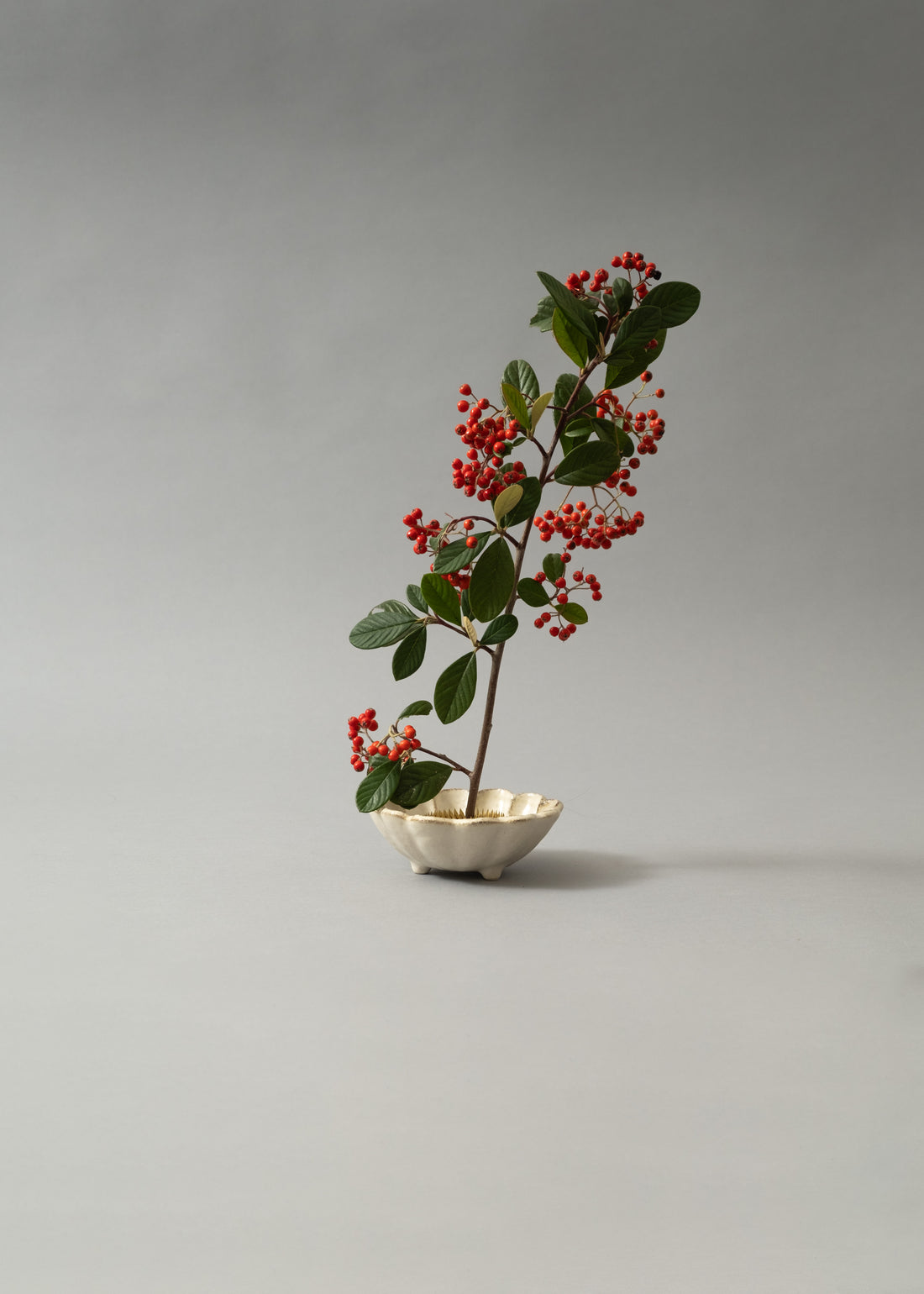 PIQUE-FLEURS  - KENZAN - SMALL - NIWAKI