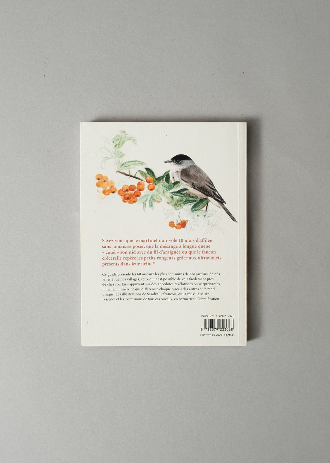 LES OISEAUX DE NOS JARDINS ET LEUR VIE SECRÈTE - ANTOINE ISAMBERT & SANDRA LEFRANÇOIS