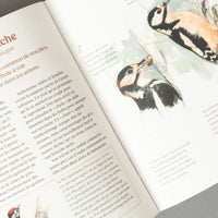 LES OISEAUX DE NOS JARDINS ET LEUR VIE SECRÈTE - ANTOINE ISAMBERT & SANDRA LEFRANÇOIS