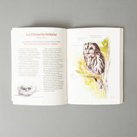 LES OISEAUX DE NOS JARDINS ET LEUR VIE SECRÈTE - ANTOINE ISAMBERT & SANDRA LEFRANÇOIS