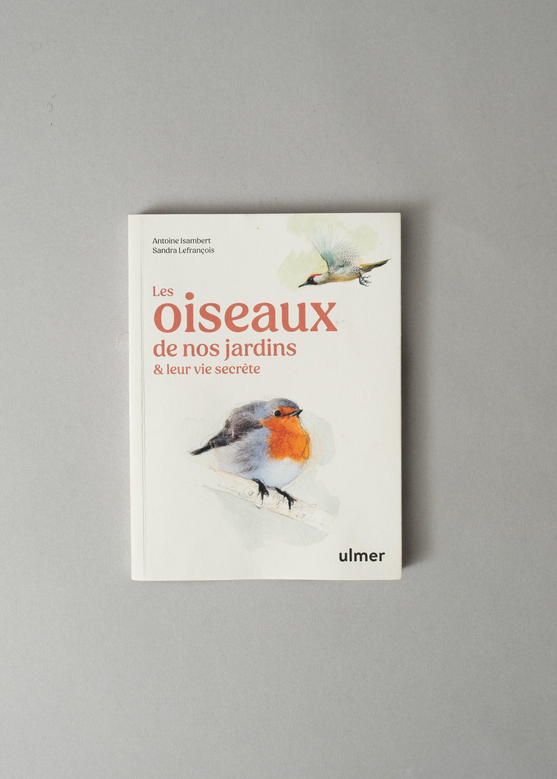 LES OISEAUX DE NOS JARDINS ET LEUR VIE SECRÈTE - ANTOINE ISAMBERT & SANDRA LEFRANÇOIS