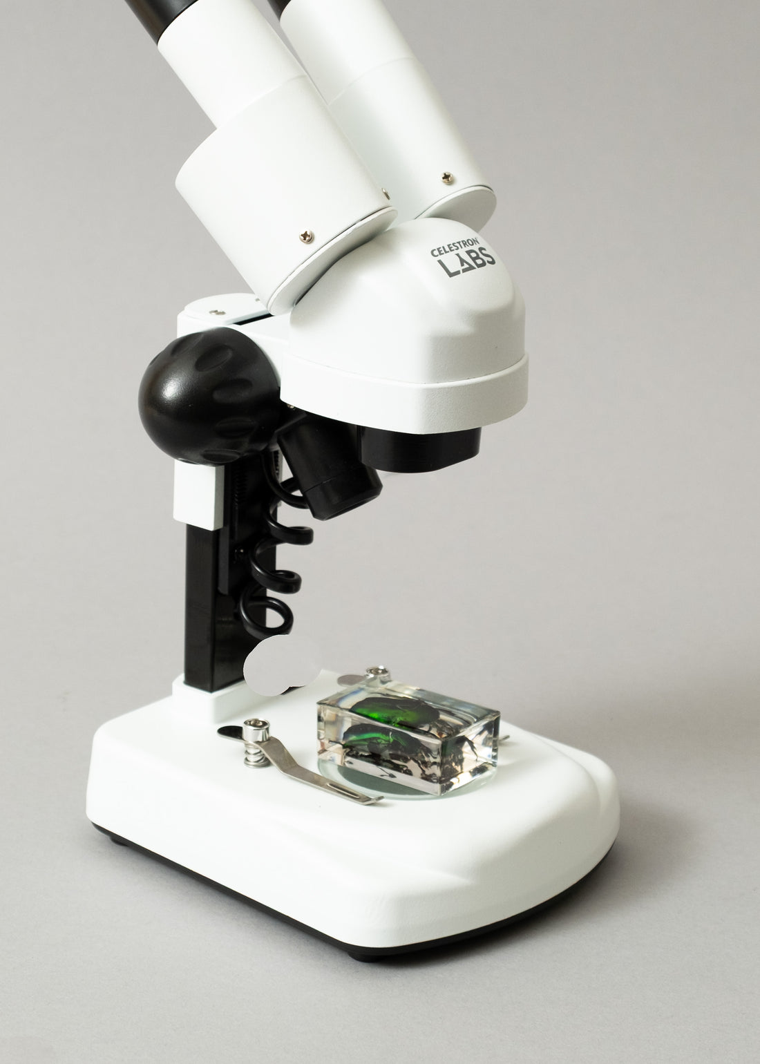 LOUPE BINOCULAIRE LABS S20x - VISION STEREOSCOPIQUE - CELESTRON