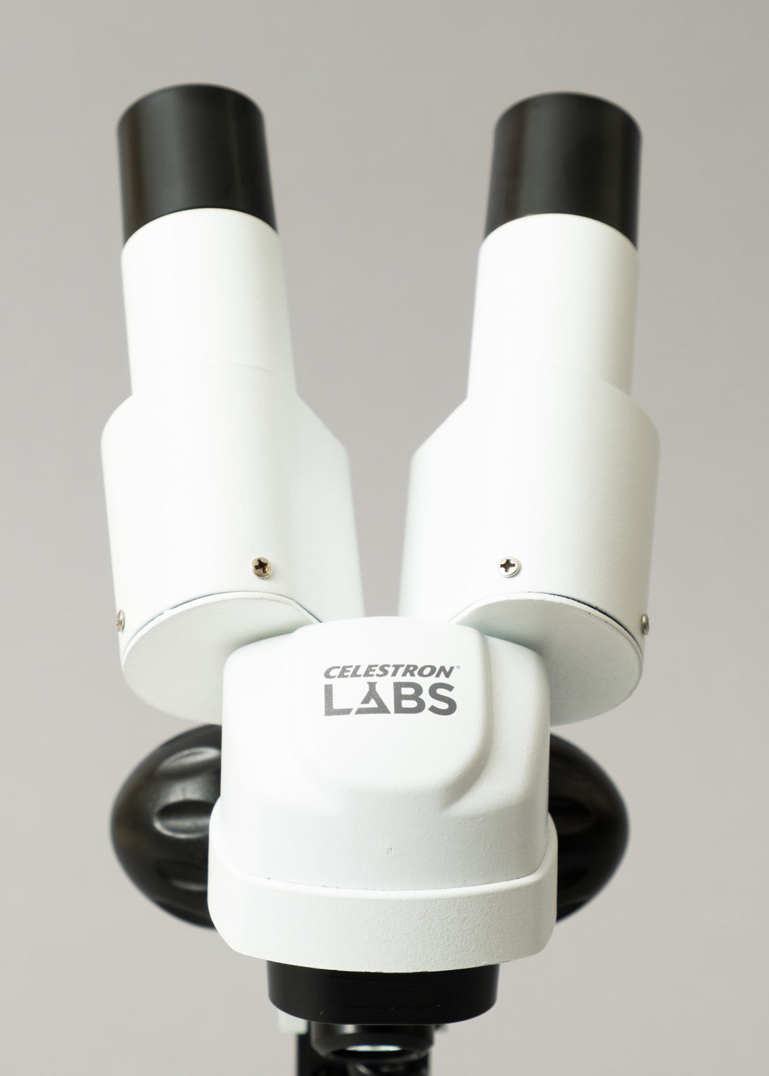 LOUPE BINOCULAIRE LABS S20x - VISION STEREOSCOPIQUE - CELESTRON