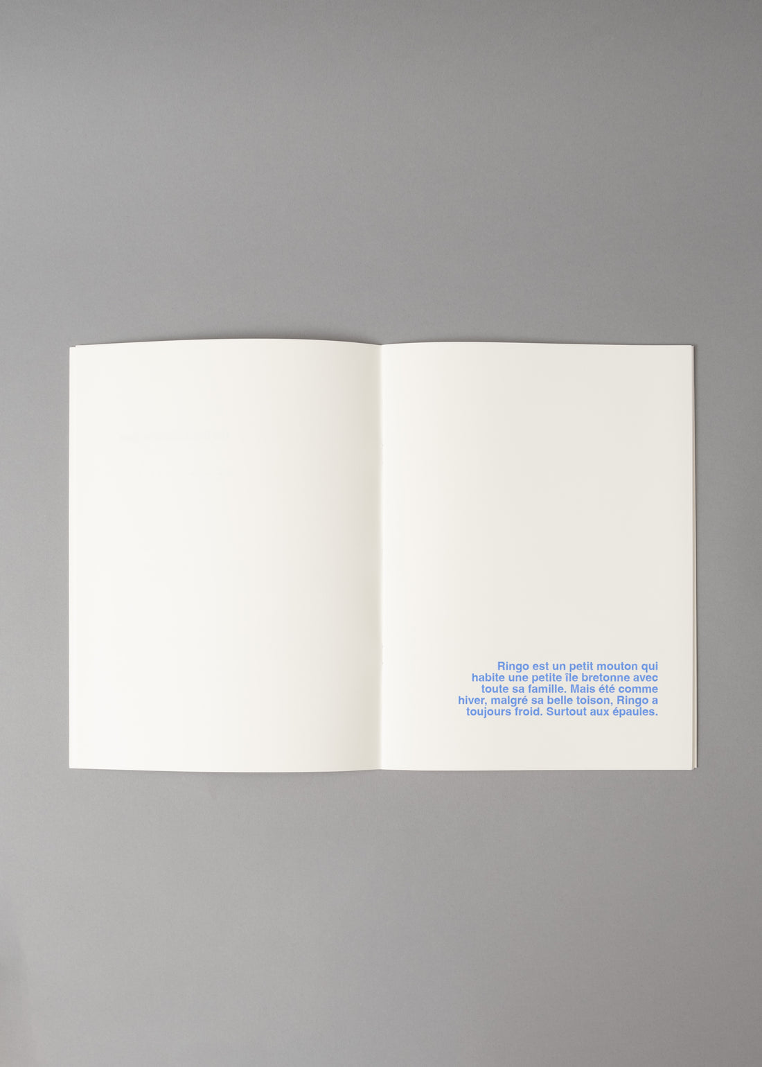 LE MOUTON FRILEUX - LIVRE A ILLUSTRER - SUPEREDITIONS