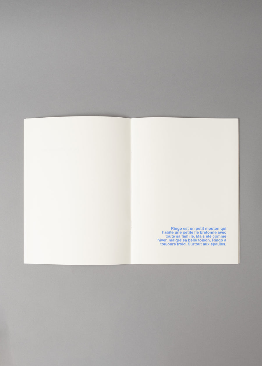 LE MOUTON FRILEUX - LIVRE A ILLUSTRER - SUPEREDITIONS