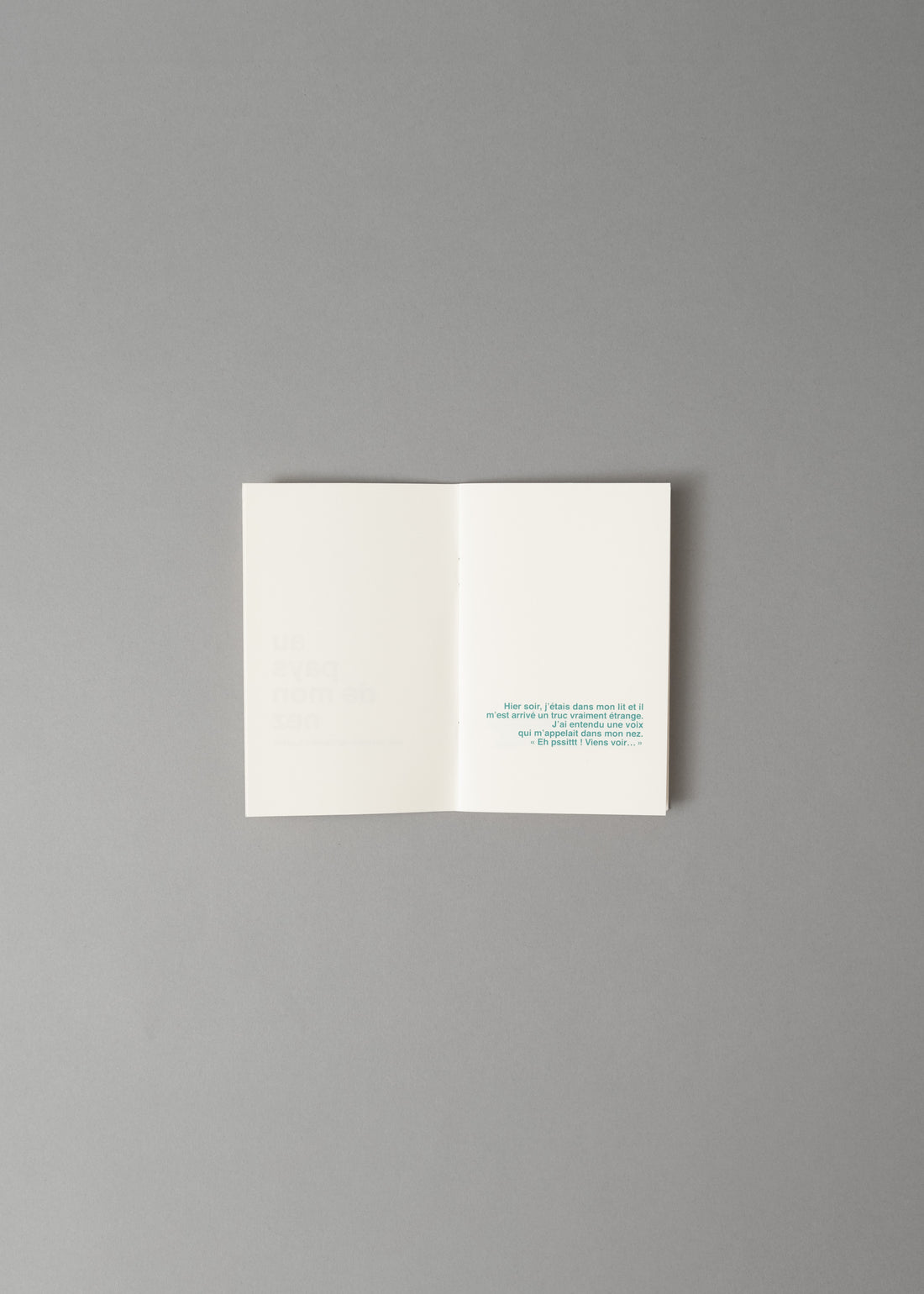 AU PAYS DE MON NEZ - LIVRE A ILLUSTRER - SUPEREDITIONS