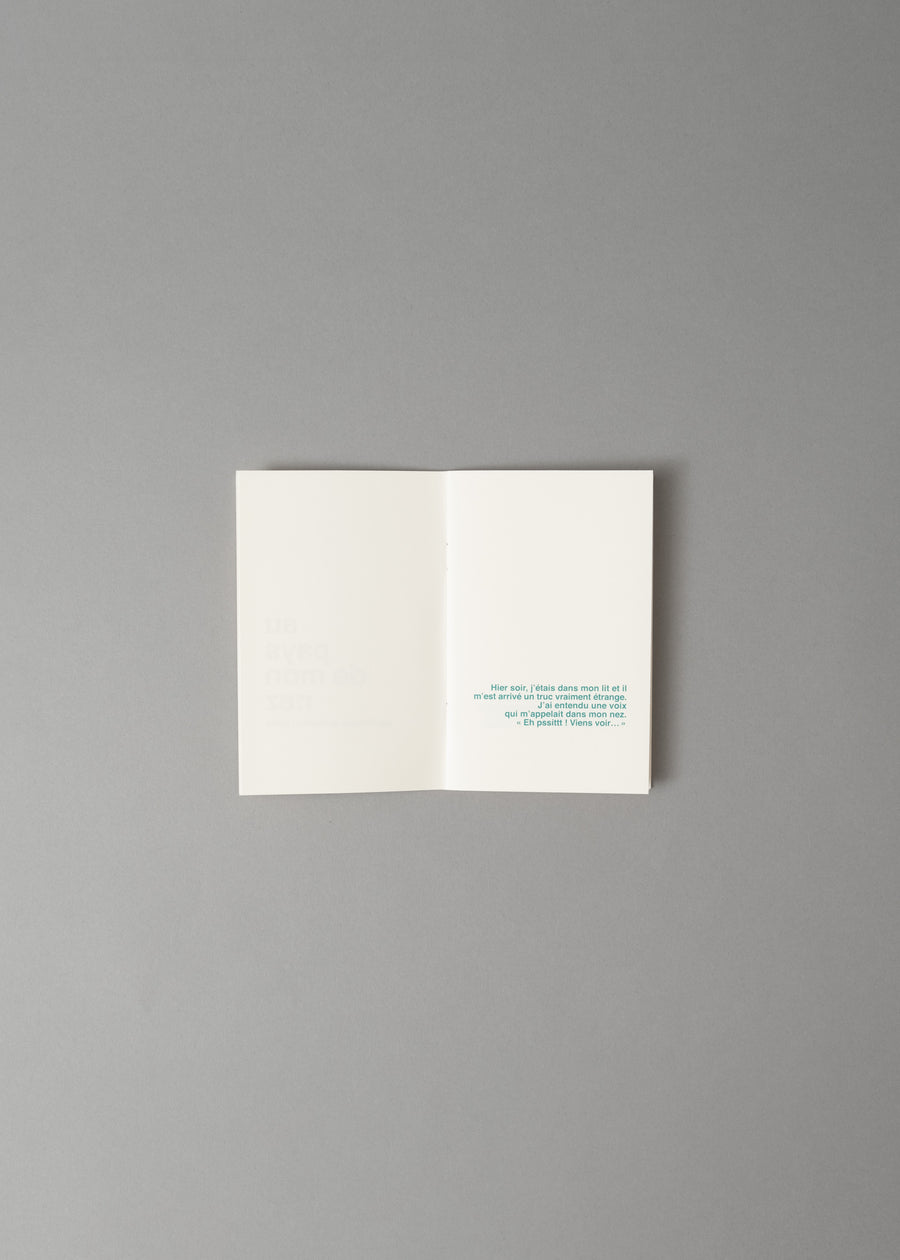 AU PAYS DE MON NEZ - LIVRE A ILLUSTRER - SUPEREDITIONS