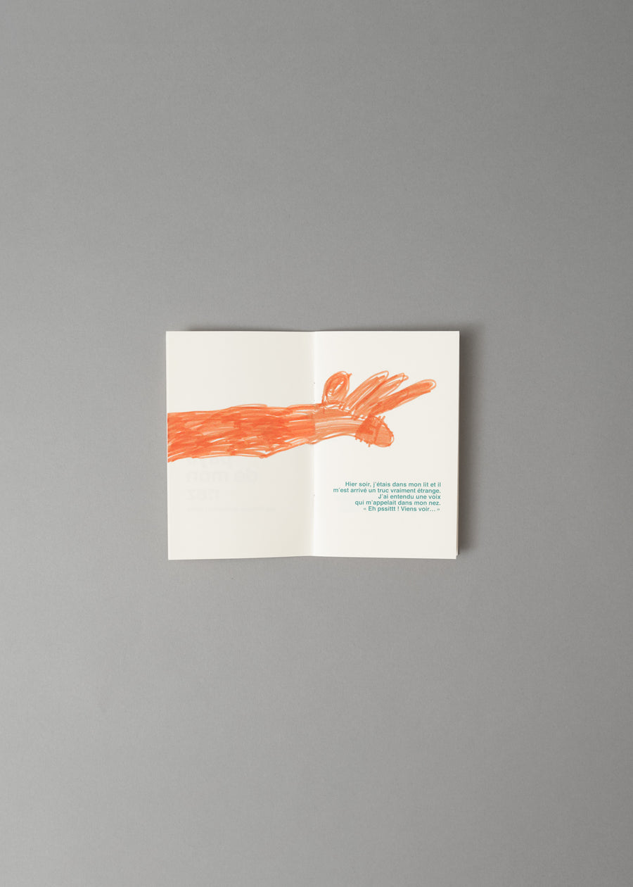 AU PAYS DE MON NEZ - LIVRE A ILLUSTRER - SUPEREDITIONS