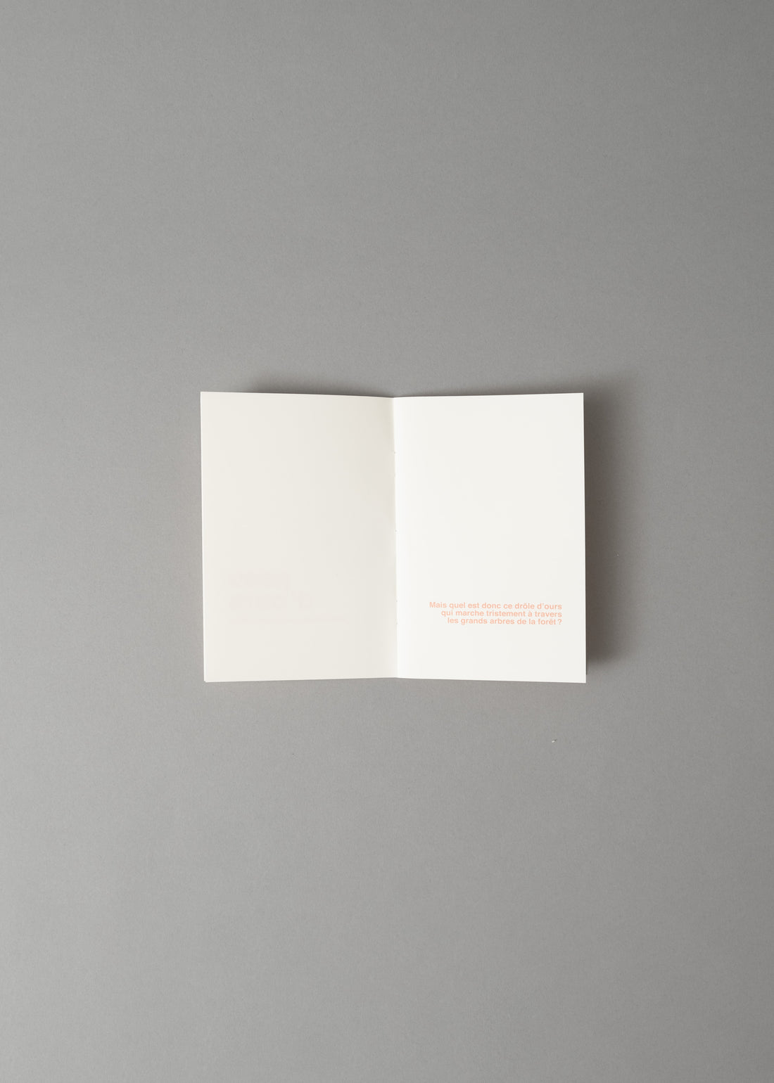 PEAU D'OURS - LIVRE A ILLUSTRER - SUPEREDITIONS