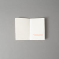 PEAU D'OURS - LIVRE A ILLUSTRER - SUPEREDITIONS