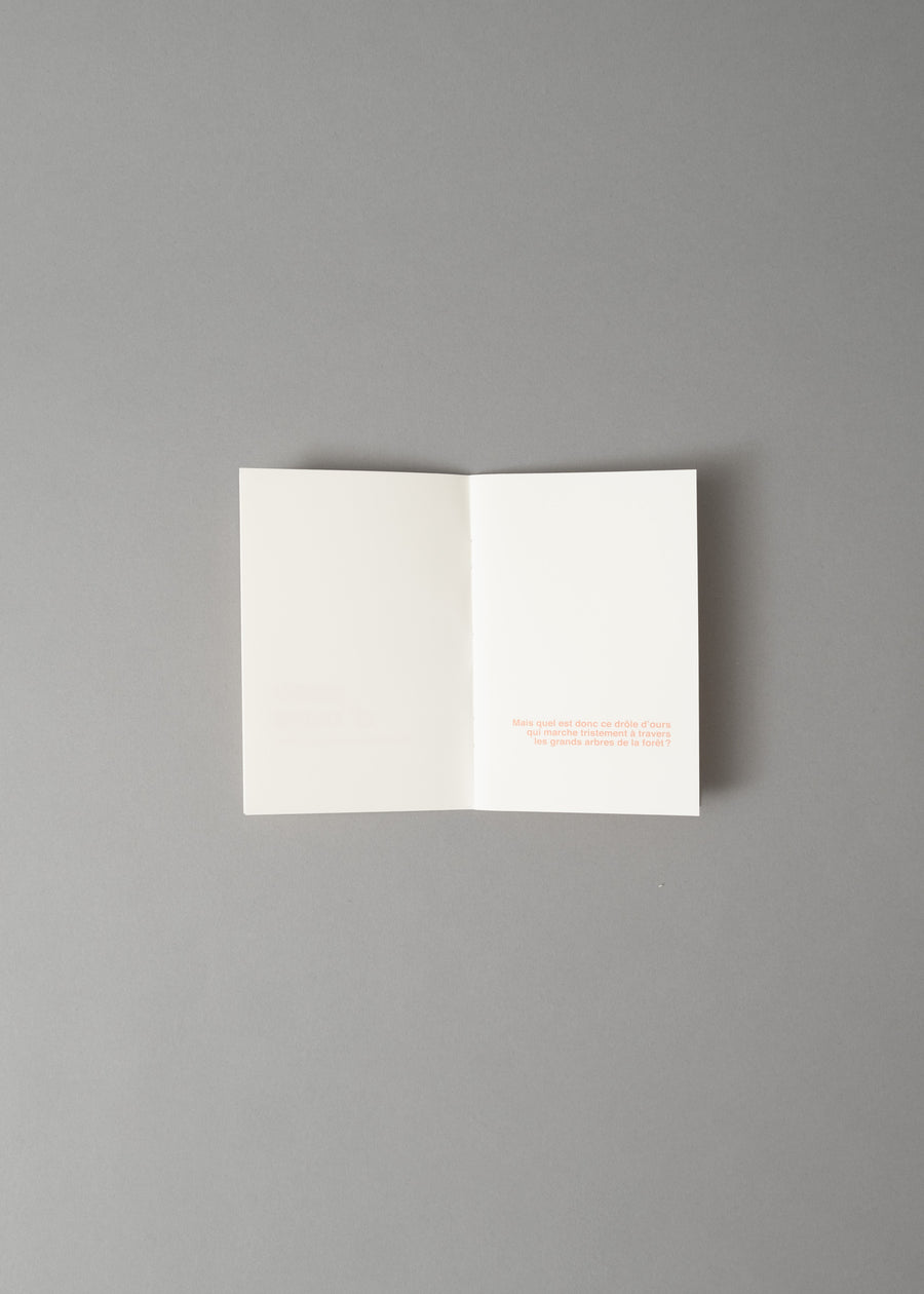 PEAU D'OURS - LIVRE A ILLUSTRER - SUPEREDITIONS