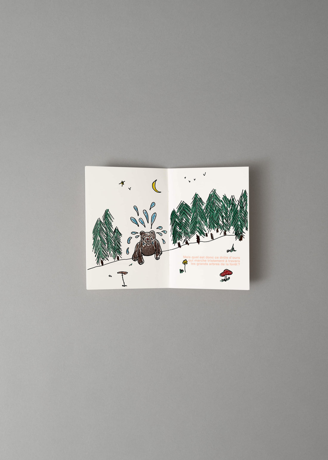 PEAU D'OURS - LIVRE A ILLUSTRER - SUPEREDITIONS