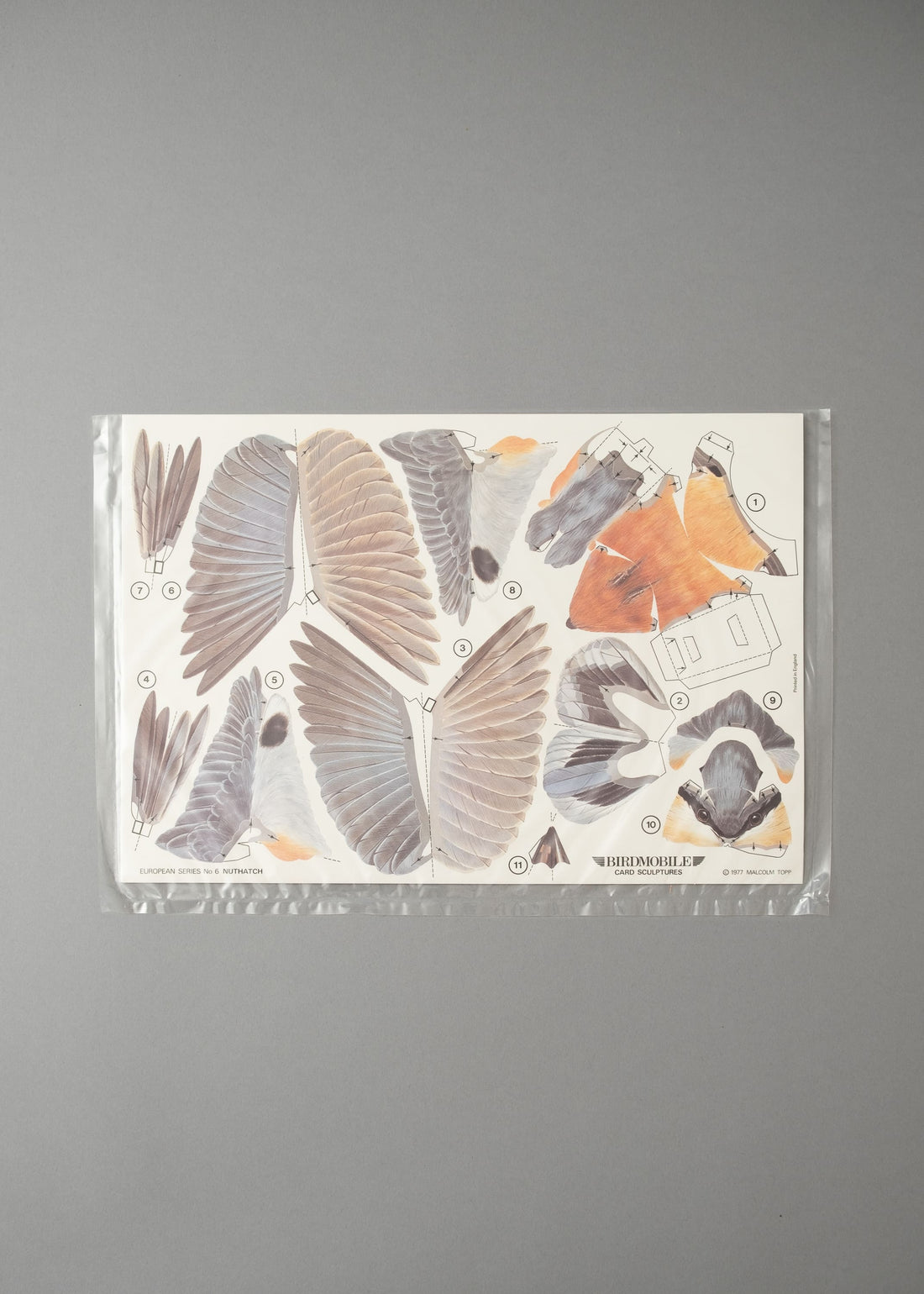 MOBILE OISEAU - SITTELLE