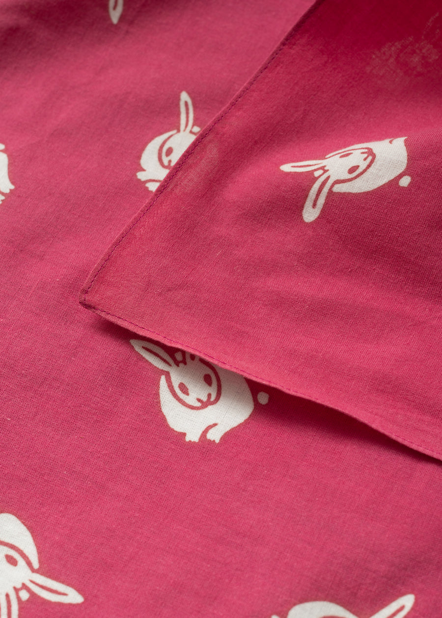 HANKASHI - LAPINS ROSES - NIWAKI