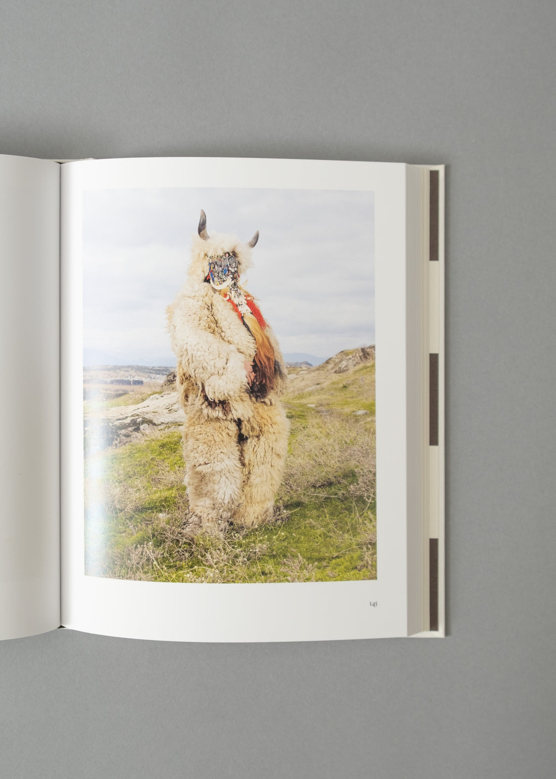 WILDER MANN OU LA FIGURE DU SAUVAGE - CHARLES FRÉGER - 2012