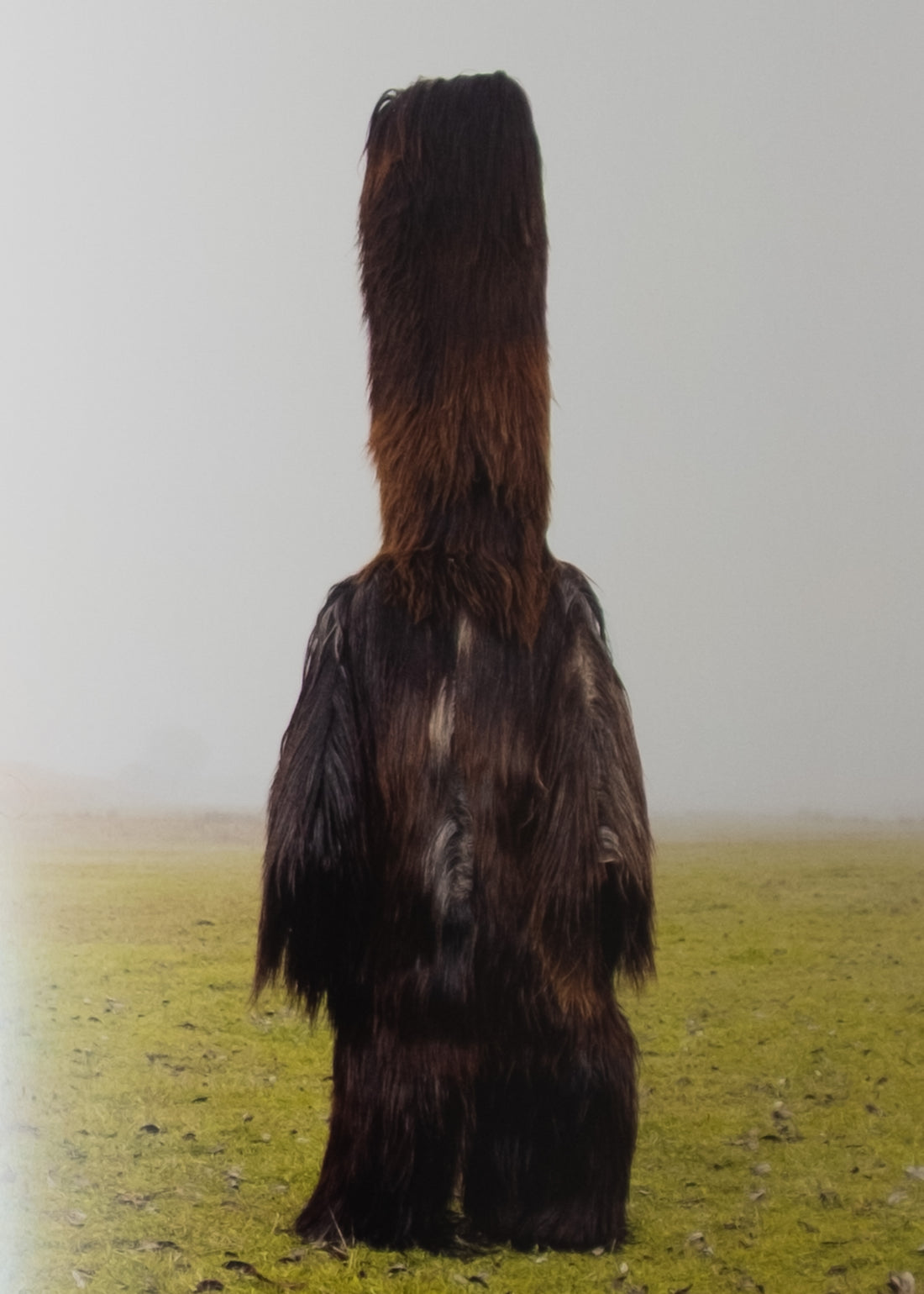 WILDER MANN OU LA FIGURE DU SAUVAGE - CHARLES FRÉGER - 2012