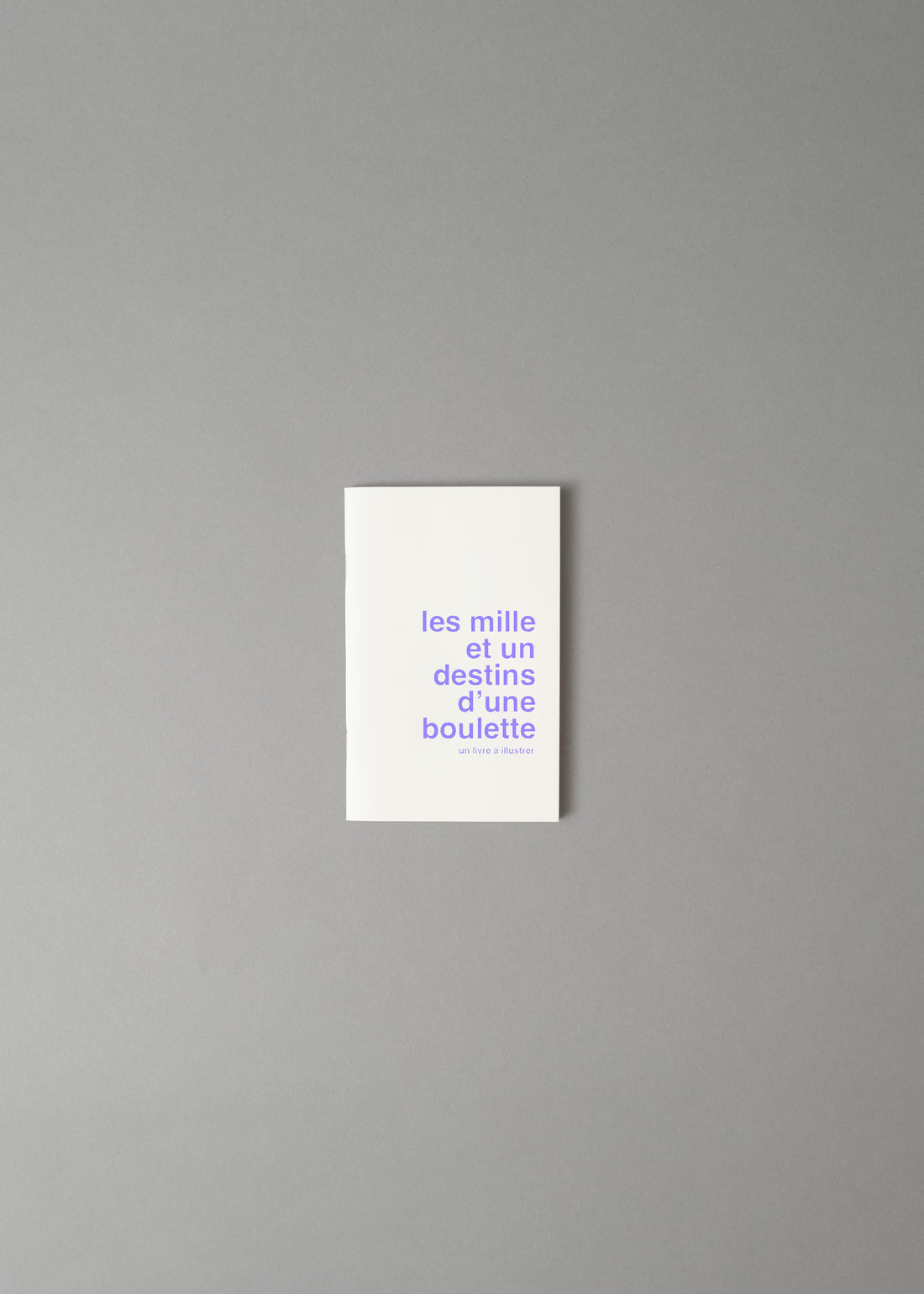 LES MILLE ET UN DESTINS D'UNE BOULETTE - LIVRE A ILLUSTRER - SUPEREDITIONS