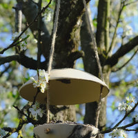 MANGEOIRE / ABREUVOIR EN TERRE MÊLÉE - "SERIE MANGEOIRES" - NOIR - LÉA BALDASSARI X MAGASIN VIVANT!